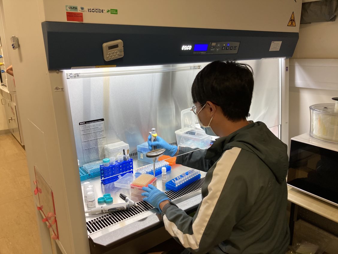 Researcher preparing samples for DNA work